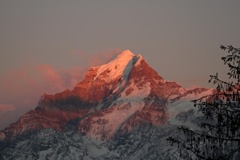 IMG_3379a